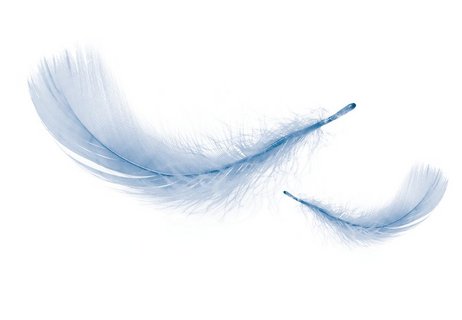 Feather